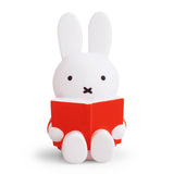 Miffy Coin Bank, Reading