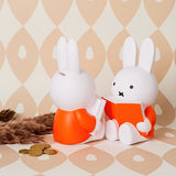 Miffy Coin Bank, Reading