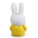 Miffy Coin Bank, Reading