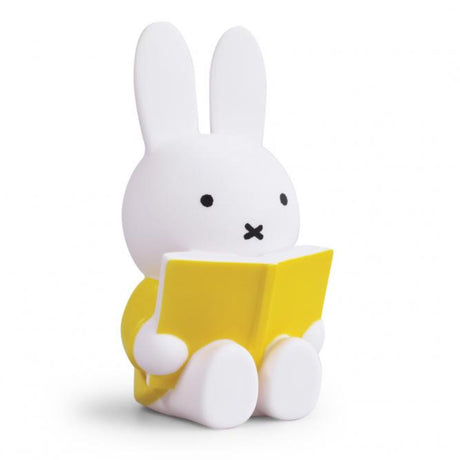 Miffy Coin Bank, Reading