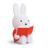 Miffy Coin Bank, Reading