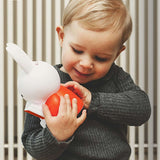 Miffy Coin Bank, Reading