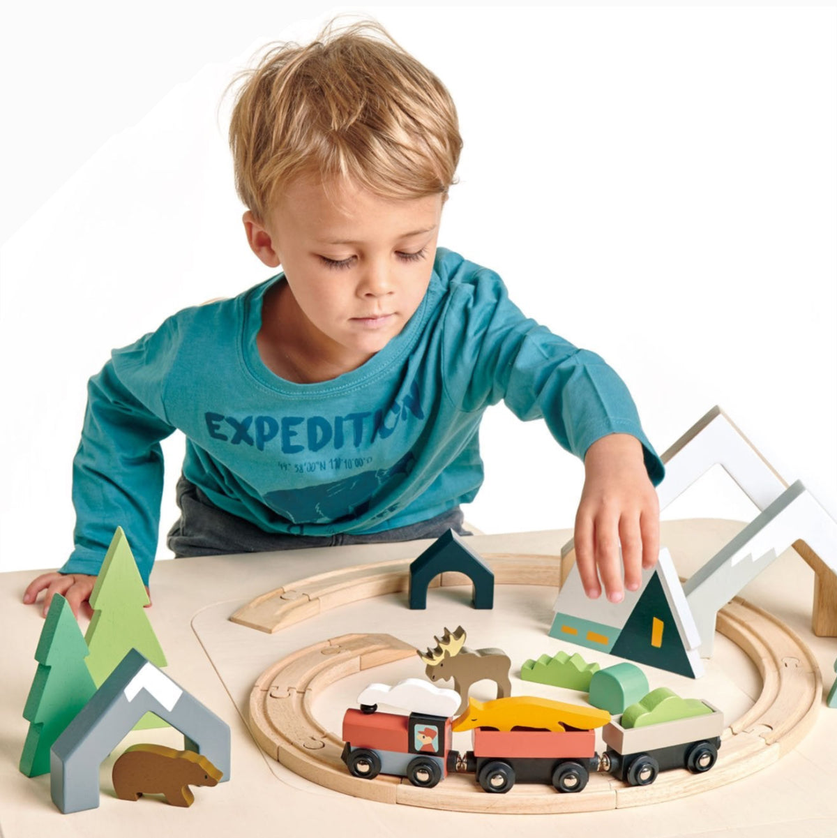 Tender Leaf Toys Treetops Train Set