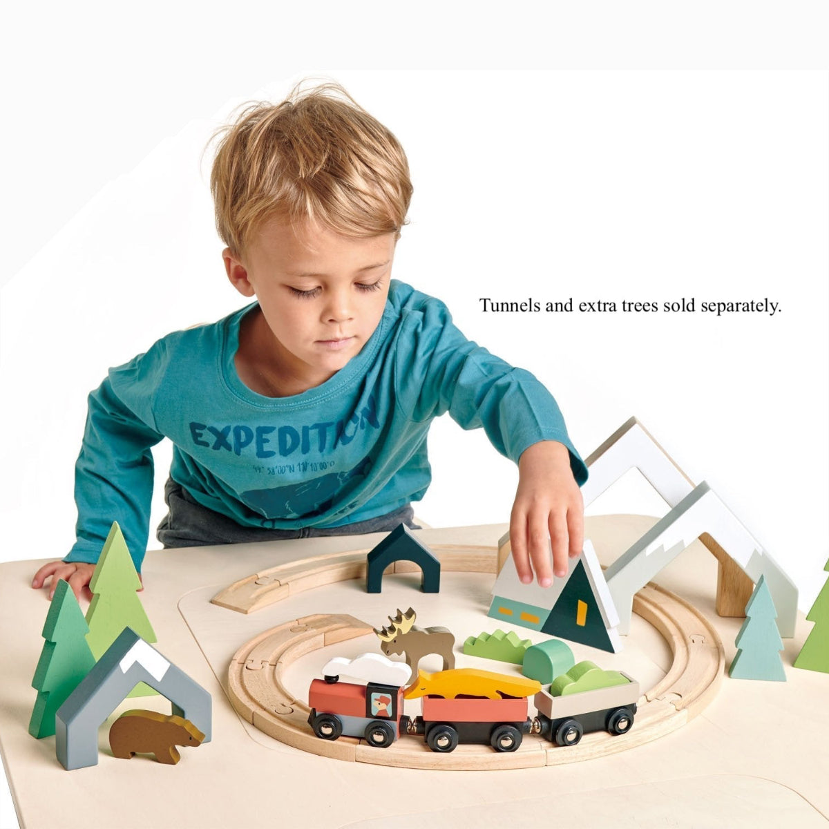 Tender Leaf Toys Treetops Train Set