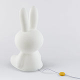 Miffy Star Light