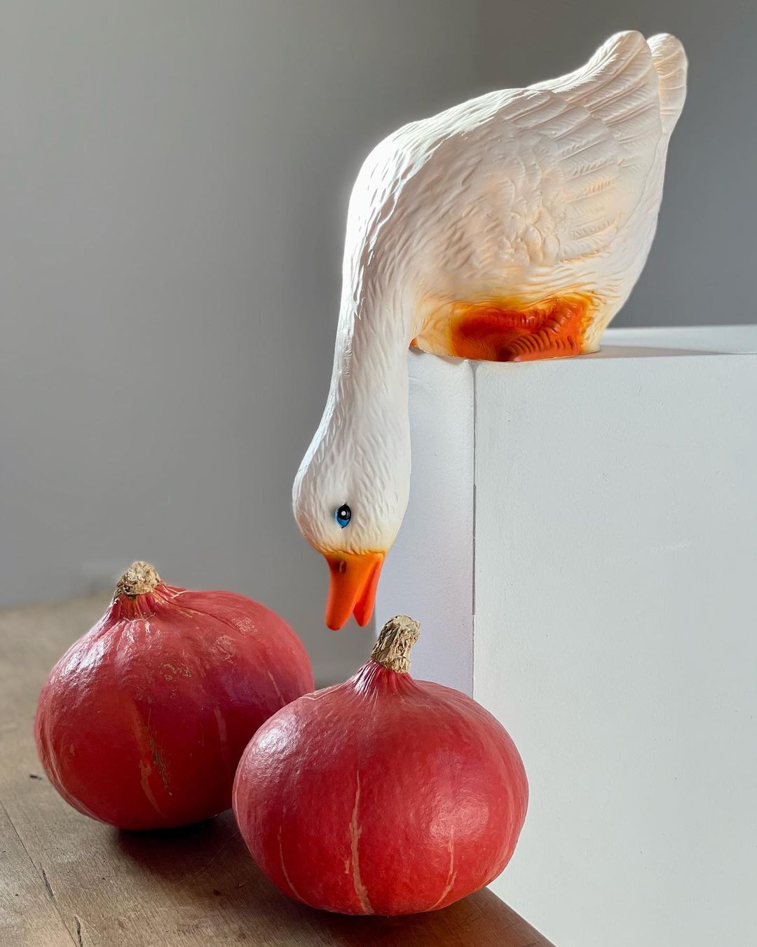 Egmont Heico Looking Down Duck LED Lamp