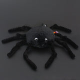 Les Deglingos Les Ptipotos, Spider Black