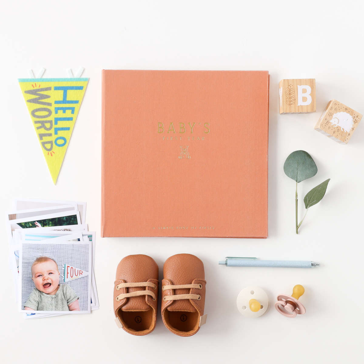 Teddy Bears Picnic Luxe Baby Keepsake Book