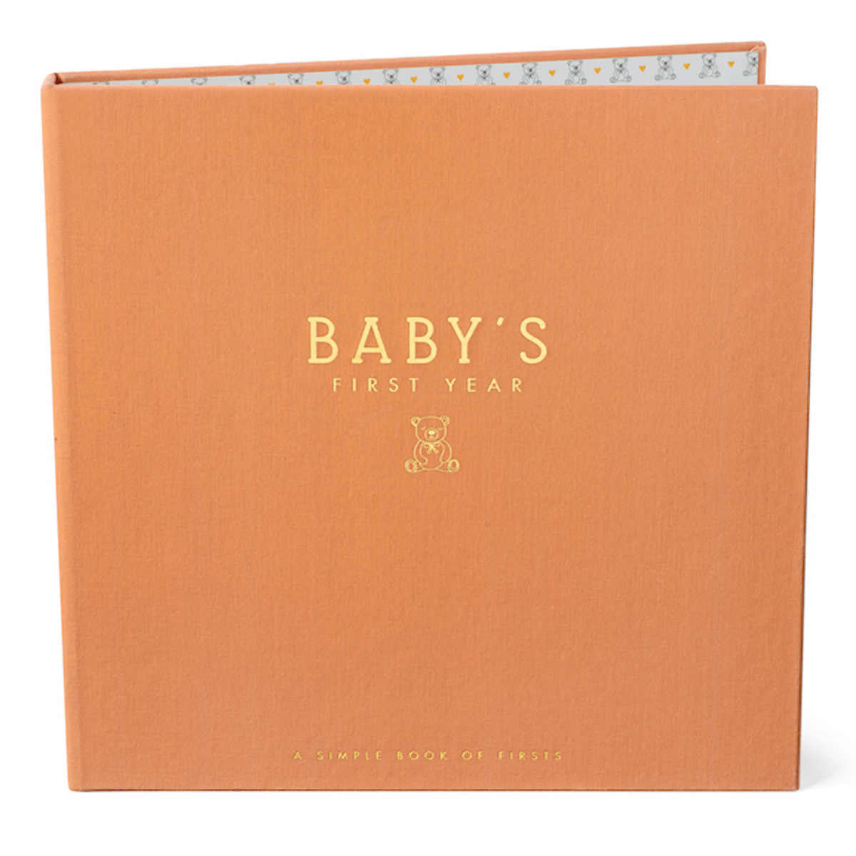 Teddy Bears Picnic Luxe Baby Keepsake Book