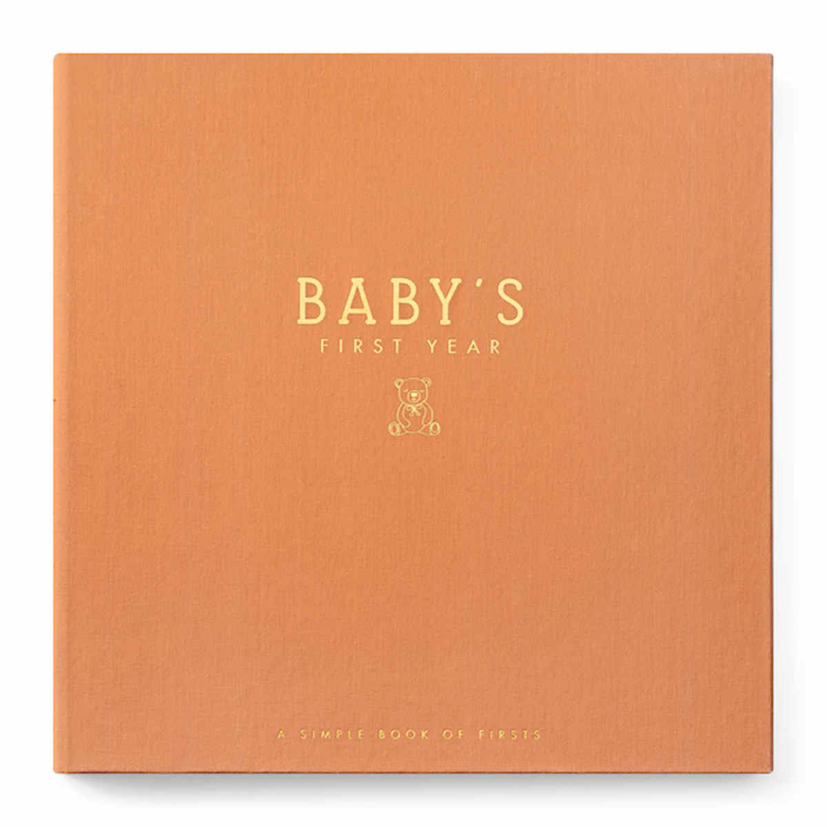 Teddy Bears Picnic Luxe Baby Keepsake Book