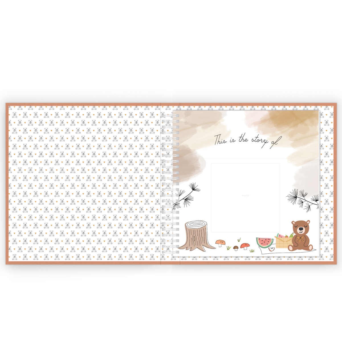 Teddy Bears Picnic Luxe Baby Keepsake Book