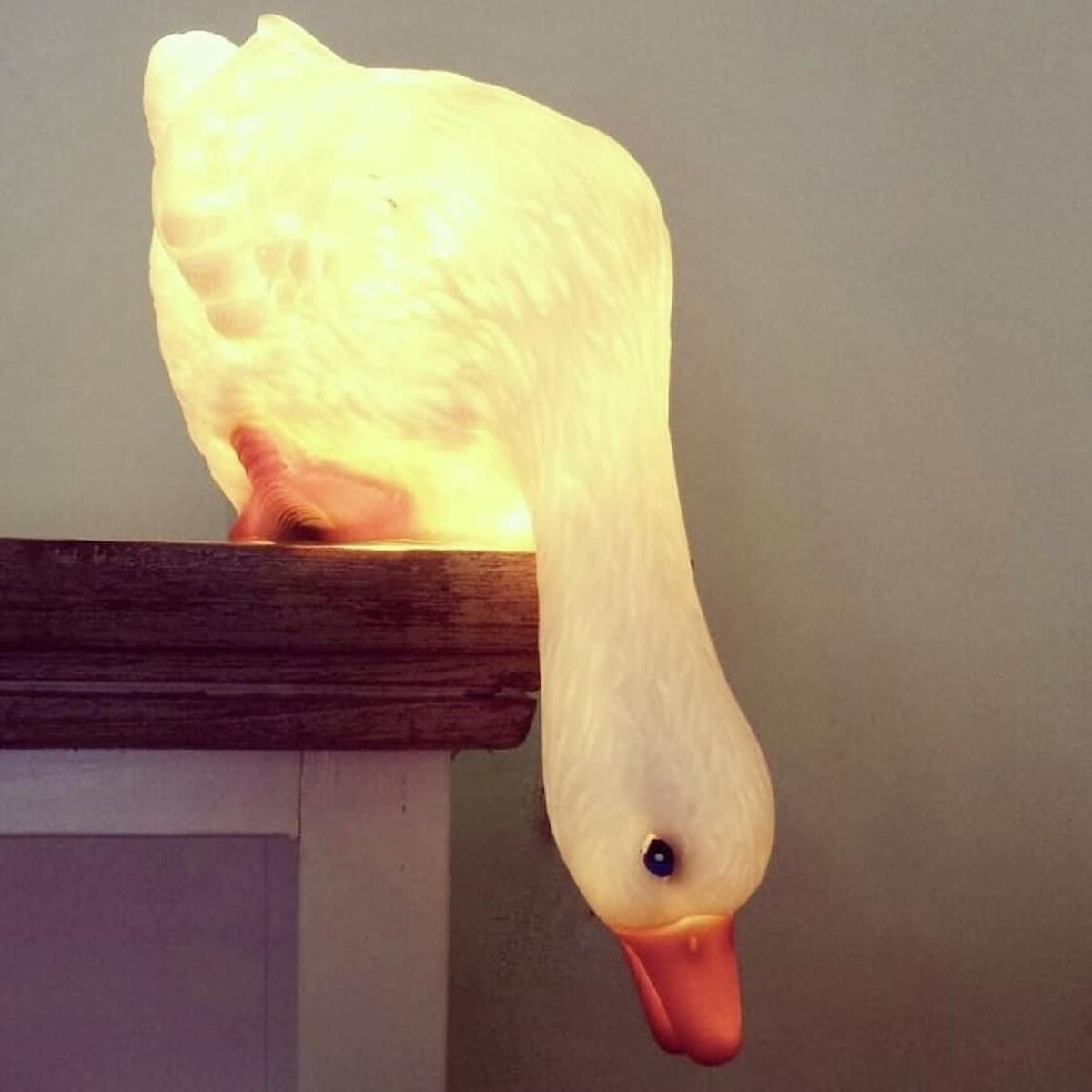 Egmont Heico Looking Down Duck LED Lamp