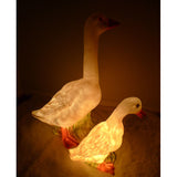 Egmont Heico Duck LED Lamp