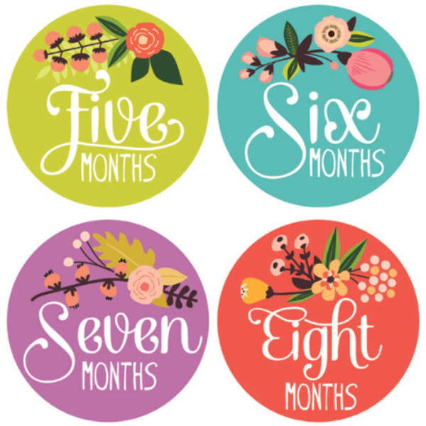 Little Artist Monthly Baby Stickers