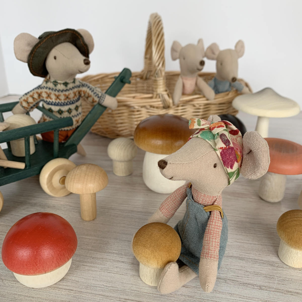 Forest Mushrooms Basket