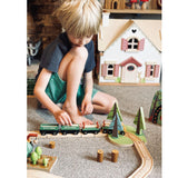 Tender Leaf Toys Wild Pines Train Set