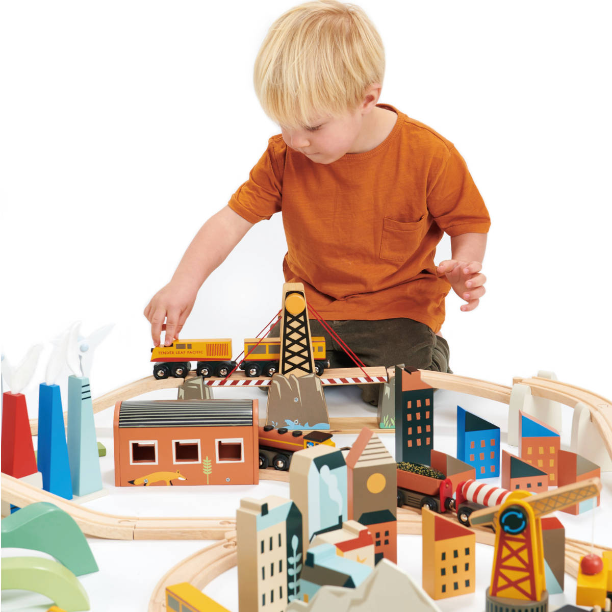 Tender Leaf Toys Mountain View Train set